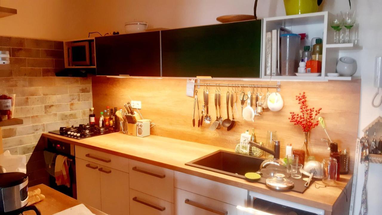 Sunny Family In Zizkov Appartement Praag